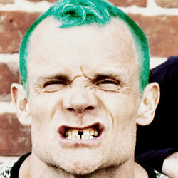 Flea